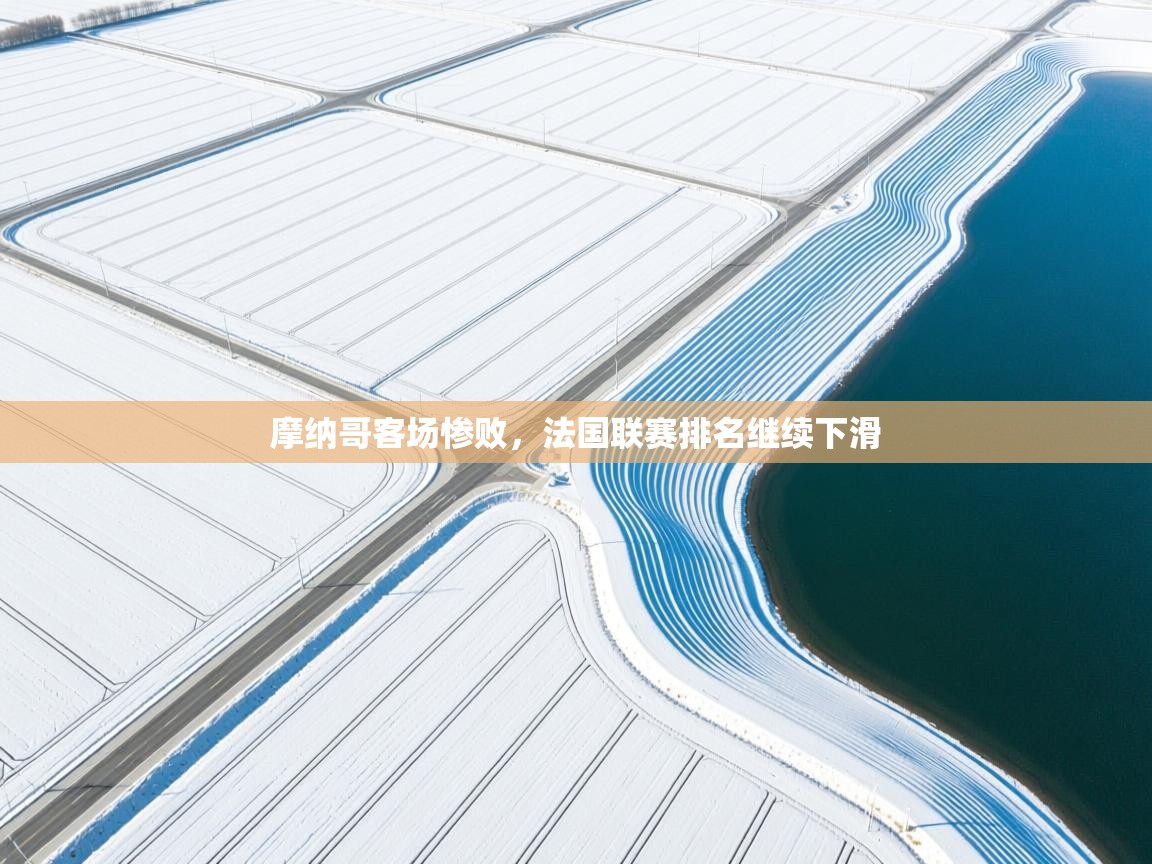 开云平台-摩纳哥客场惨败,法国联赛排名继续下滑 第4张