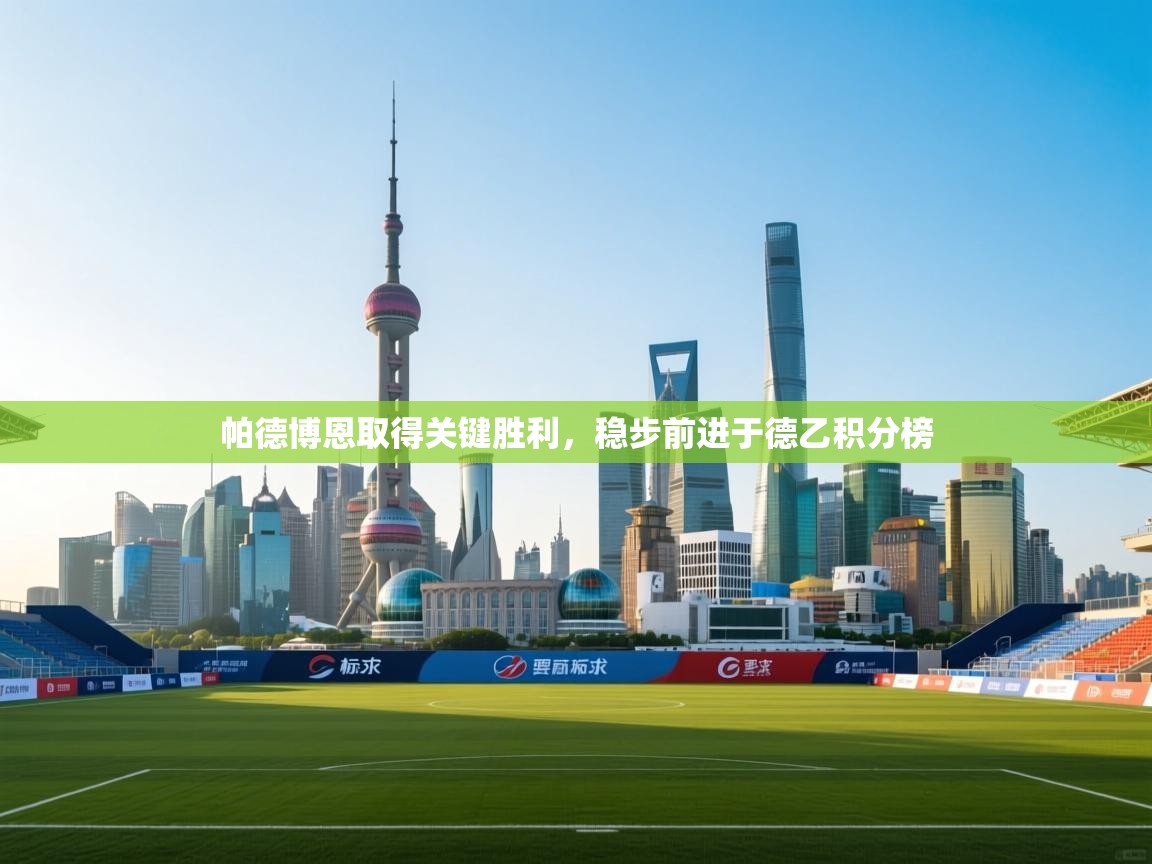 云开体育app官网入口网页版-帕德博恩取得关键胜利，稳步前进于德乙积分榜  第4张